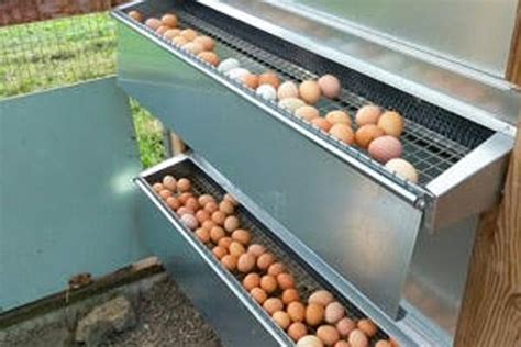 hanging nesting boxes for chickens